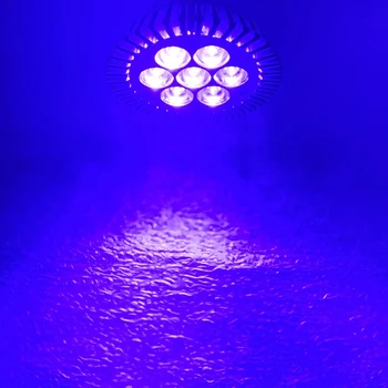 14 Вт / 7 Вт Фиолетово-синий PAR30 430nm ~ 440nm Светодиодный Светильник Точечная Лампа для Отверждения Растений Аквариума E27 E26
