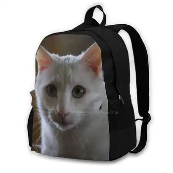 Заценивает вас! Модные сумки и рюкзаки Turkish_Angora Портрет белых домашних животных, милые глаза, любопытные кошки, Ангора