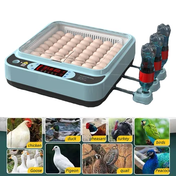 Инкубатор на 36 яиц с выдвижным мини-инкубатором для яиц с автоматической подачей ионной воды и контролем температуры