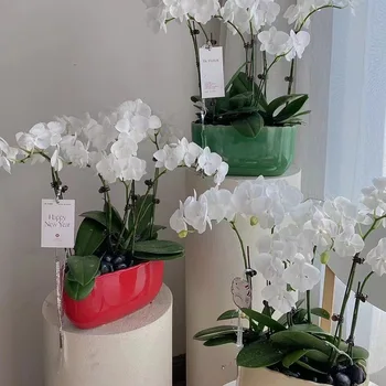 Креативный настольный цветочный горшок с фаленопсисом, керамический серебряный цветочный горшок, новогодняя декоративная ваза, специальный горшок для орхидей