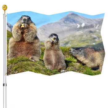 Флаг сурков в горах, Маленькие Милые Животные, Флаги с двойной прошивкой, баннер с латунными люверсами, украшение для дома внутри и снаружи.